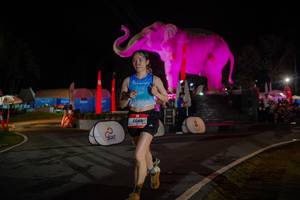 BIB: 
                            <button type="button" onclick="openModal(26552088)" class="btn btn-primary btn-sm float-right btn-popup" data-toggle="modal" data-target=".modal-high-quality">
                        <i class="fas fa-shopping-cart"></i> Add to Cart
                    </button>
                                            <button type="button" onclick="isThisMe(26552088, true)" class="btn btn-success btn-sm float-right btn-popup btn-isme hidden" data-toggle="tooltip" data-placement="bottom" title="นี่คือรูปของคุณใช่ไหม คลิกที่นี่เพื่อเอาเข้าอัลบั้ม">
                        <i class="fas fa-plus"></i> Add to album
                    </button>
                    <button type="button" onclick="isThisMe(26552088, false)" class="btn btn-warning btn-sm float-right btn-popup btn-isnotme hidden">
                        <i class="fas fa-ban"></i> Remove from album
                    </button>